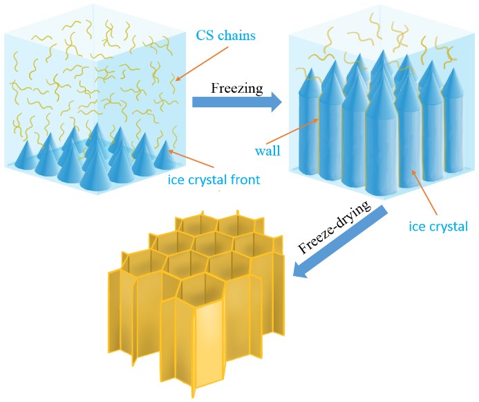 Schematic illustration of the fabrication of adsorbent 