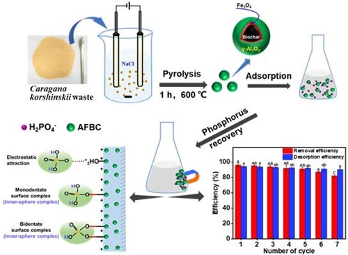 Development of biochar-based magnetic adsorbent and phosphate adsorption mechanism