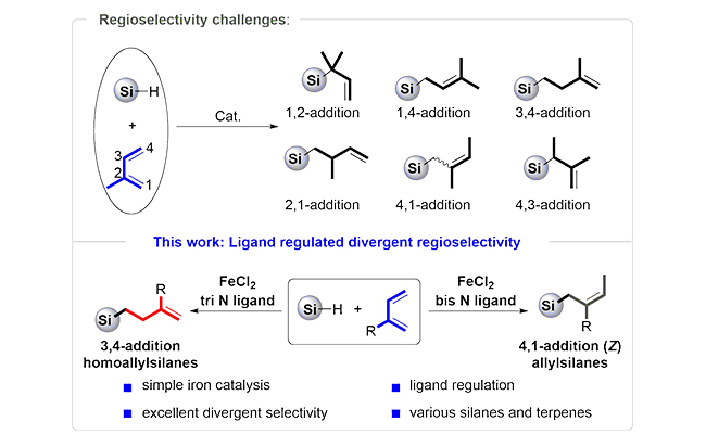 The research team has made new progress in regulating the selectivity of isoprene hydrosilation