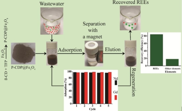 P-CDP@Fe3O4 And its application in recovering rare earth from waste water