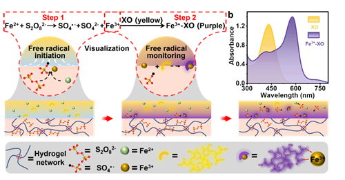 Real-time monitoring strategy of interface diffusion aggregation