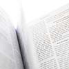 Pulp & Paper additives